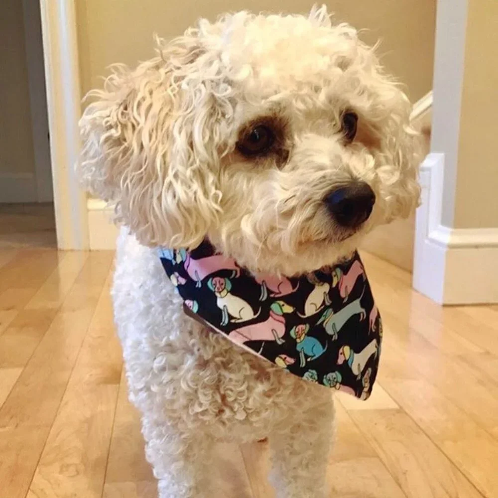 handmade dog bandana dog accessories adjustable snaps gifting gift ideas